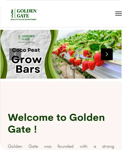 website design in tuticorin